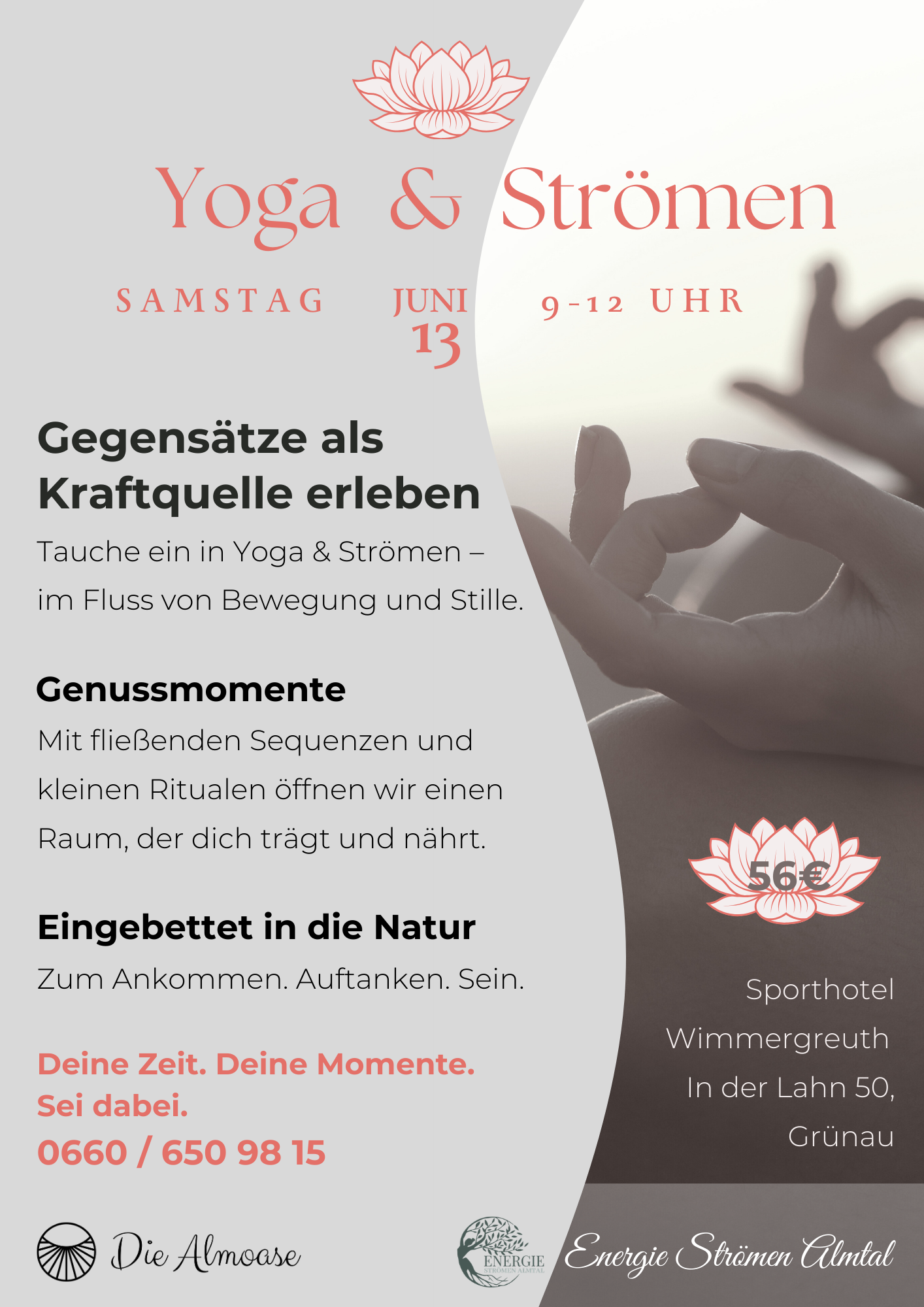 Pollen Energie Strömen Feb 26